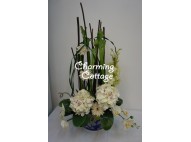 easy going flowers